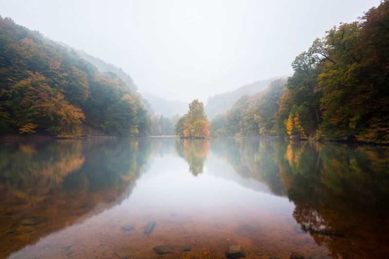 slunečnímu záření, stromy, krajina, les, jezero, voda slunečnímu záření, stromy, krajina, les, jezero, voda