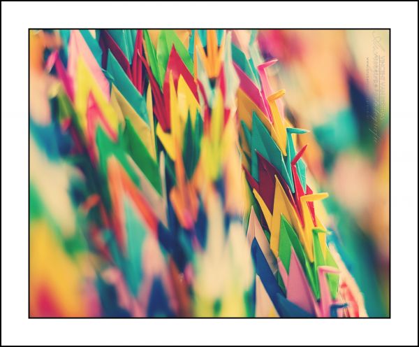 Japan,paper,children,photography,photo,memorial