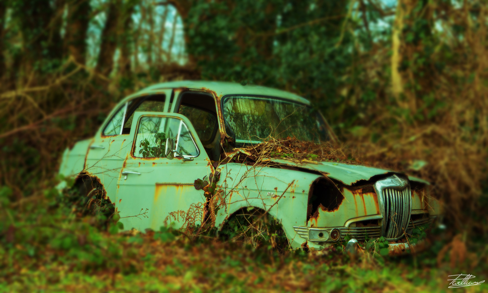 เก่า, รถ, ยานพาหนะ, ถนน, เศร้า, แข่งรถ, รถโบราณ, สนิม, สี, ยานพาหนะบก, รถยนต์ทำ, การแข่งรถอัตโนมัติ, รถครอบครัว, รถเมือง, การชุมนุม, ปิด roading, รถออฟโรด