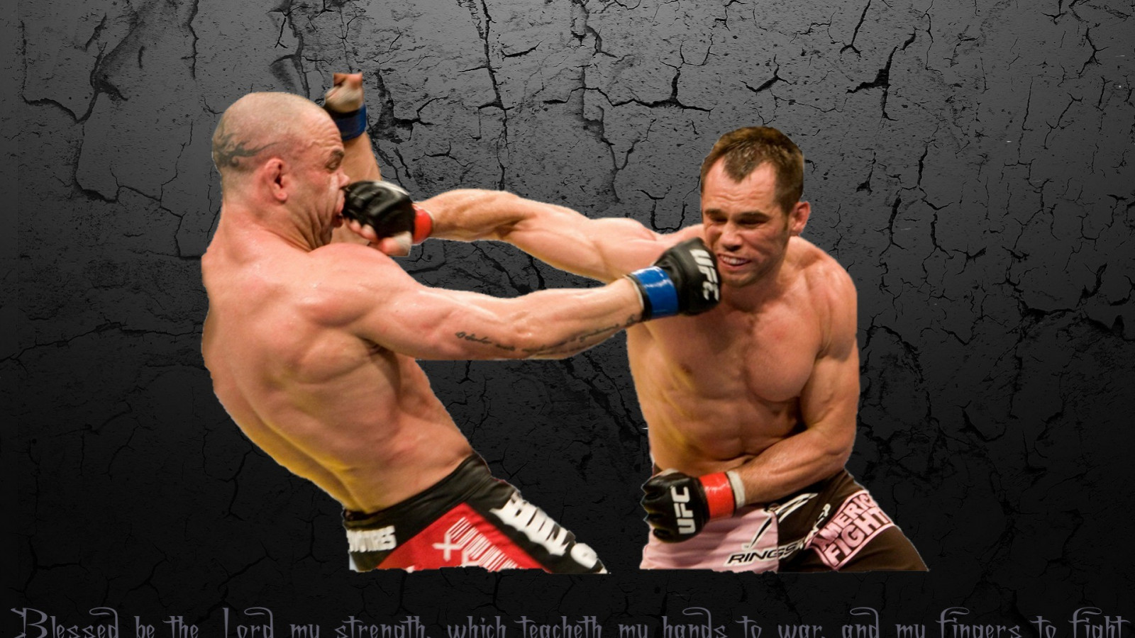 Wallpaper UFC, strike, wanderlei silva, Rich Franklin, muscle, arm, chest, wrestler