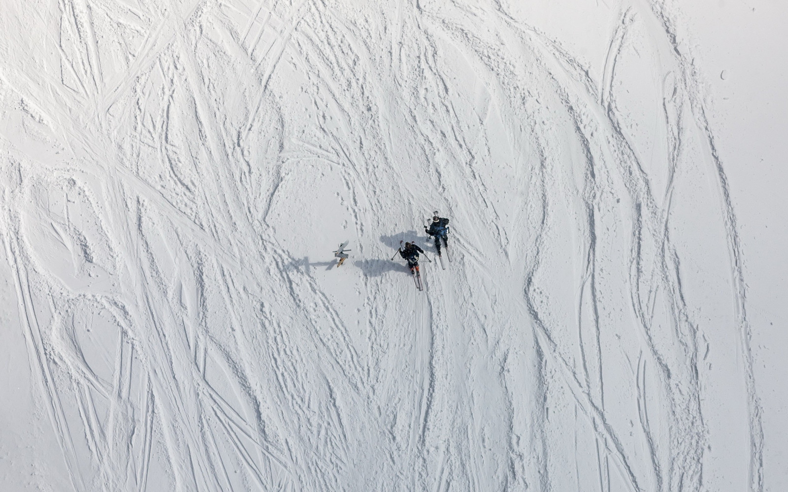 Wallpaper sports, drawing, white, snow, winter, skiing, skis, wing