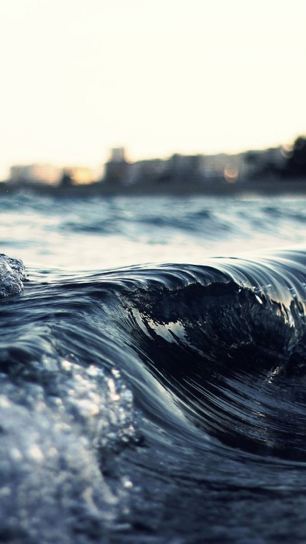 sunlight,sunset,sea,water,shore,nature