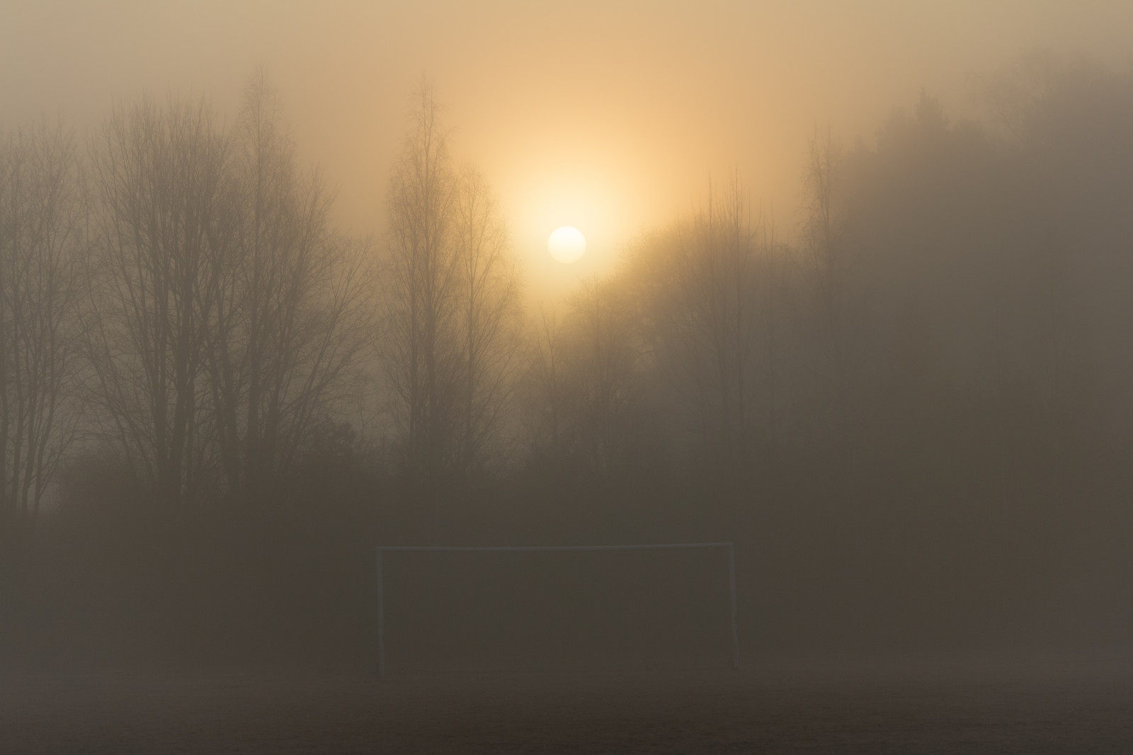 Сплошной туман. Природа туман. Туман. Туманы 6. Красивый туман.