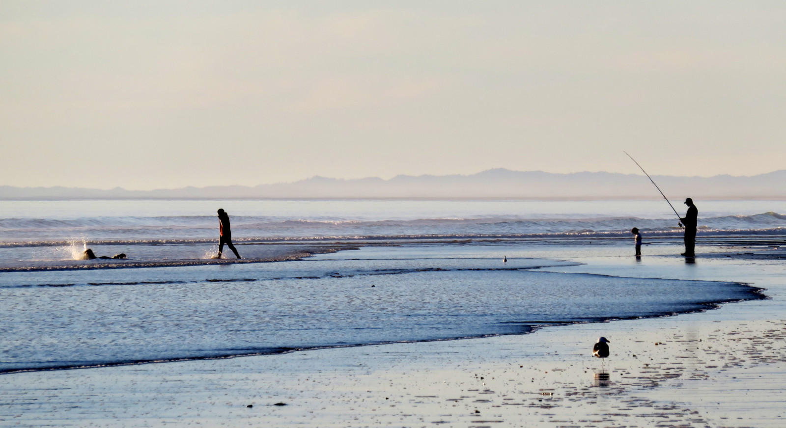 แนวนอน, คน, ทะเล, น้ำ, ธรรมชาติ, ฝั่ง, ทราย, ท้องฟ้า, เงา, ฤดูหนาว, ชายหาด, ข้อมูลส่วนตัว, เงียบสงบ, สีน้ำเงิน, น้ำแข็ง, เช้า, ชายฝั่ง, ขอบฟ้า, กระเด็น, อาร์กติก, การแช่แข็ง, ตกปลา, โครงร่าง, ระลอก, เบา, ดู, กลางแจ้ง, นก, รูป, มหาสมุทร, นกนางนวล, ทะเล, เงา, ชายหาด, คลื่น, ภายนอก, ริมทะเล, ทะเล, น้ำขึ้นน้ำลง, กีวี่, นิวซีแลนด์, คลื่นลม, nz, ชายทะเล, โคลน, beachscape, เสียงหายใจ, beachscene, canonpowershotsx700hs, himatangibeach, ดาบสองคม, Manawatu, accidentalswim, coastal and oceanic landforms