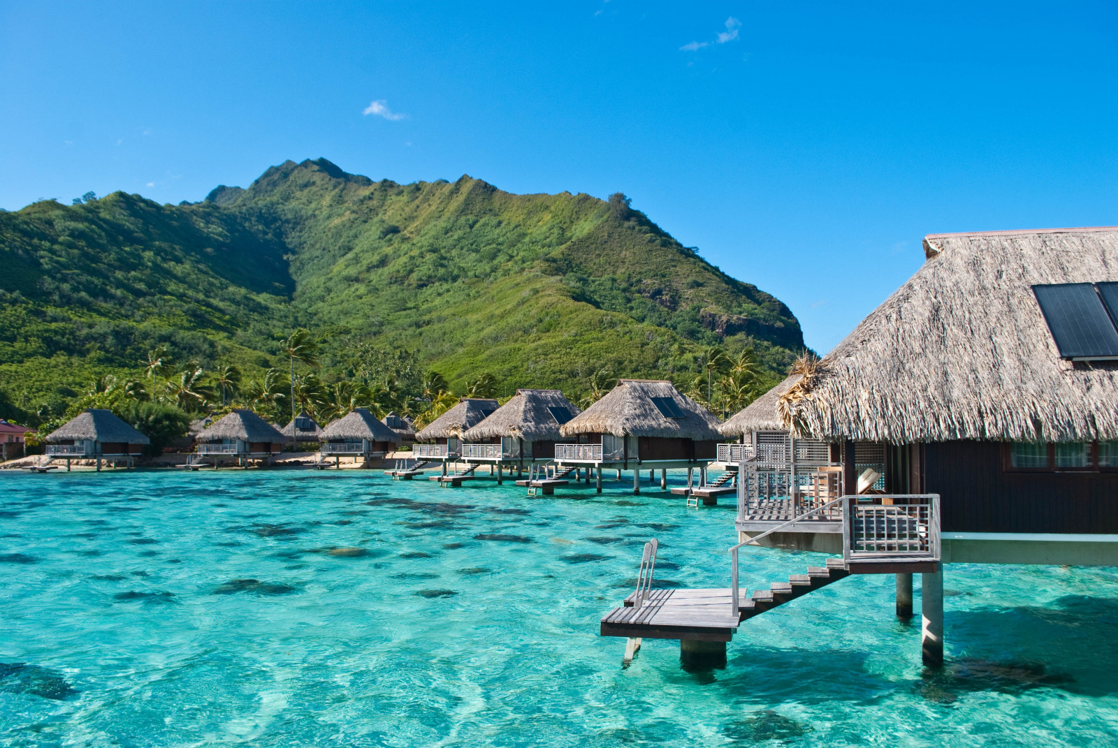 tropics, sea, bungalows