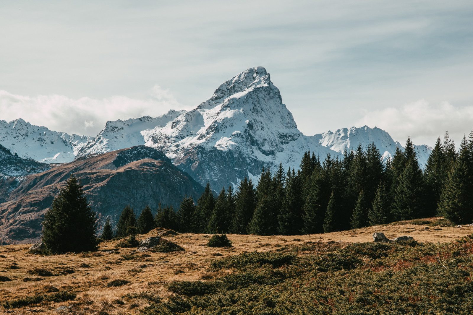 krajina, hory, sníh, Příroda, les, stromy, zasněžený vrchol