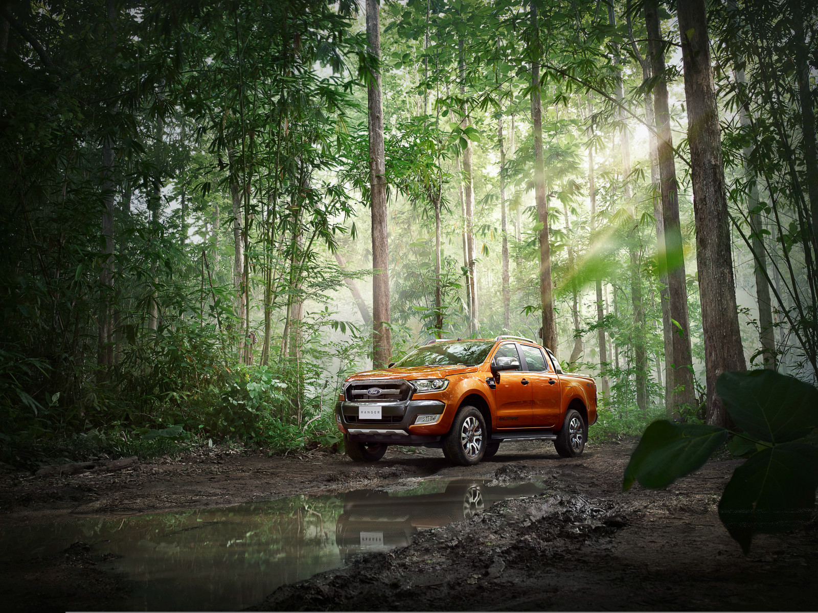 Wallpaper : Ford, Ranger, forest, side view, puddle, reflection ...