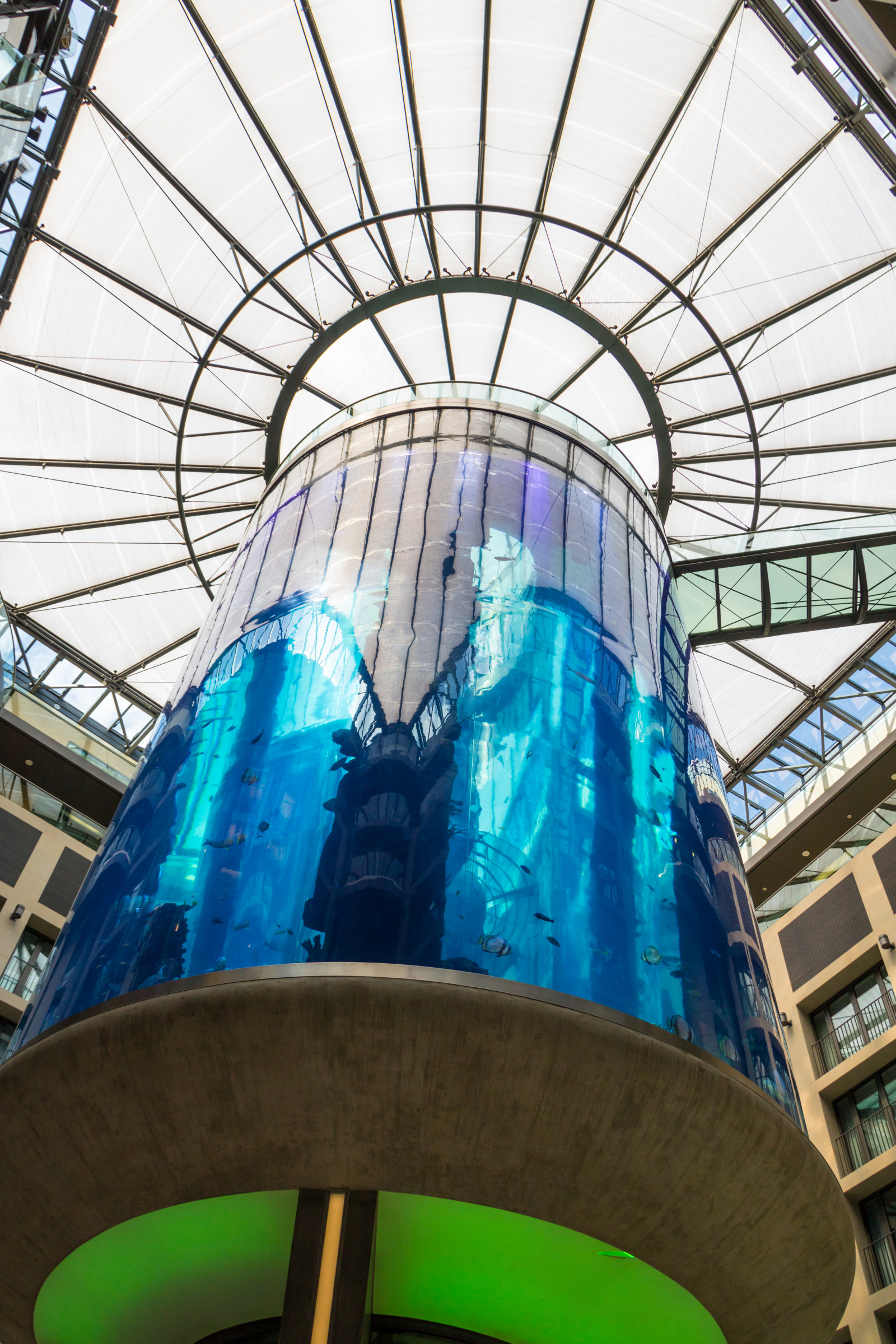 okno, modrý, Německo, sklenka, akvárium, Berlín, kupole, UMĚNÍ, barva, Německo, deutschland, AquaDom, radissonbluhotel, zábavní park, Muž se objekt