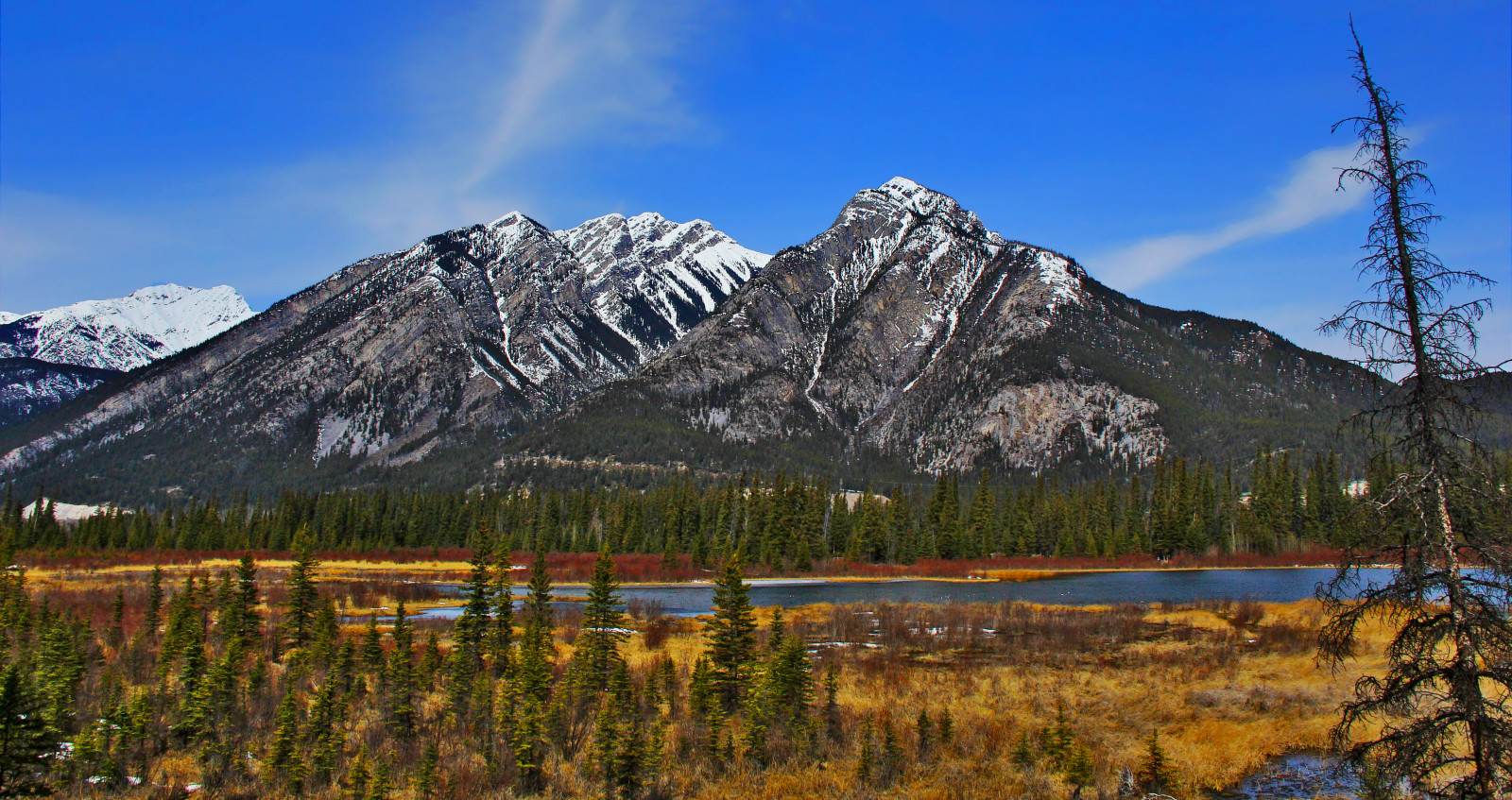 alberi, cielo, montagna, lago, la neve, montagne, natura, acqua, campo, erba, roccia, nuvole, foresta, Canone, fiume, rockies, rocce, Terra, scogliere, colline, Innevato, Alberta, Banff, montagne Rocciose, versante, banffnationalpark, Lakelouse, rockformation, Montagne Rocciose Canadesi, davidsmith, Cavebasin, Rocce, Mountcascade, calgaryalbertacanada, EOS60D