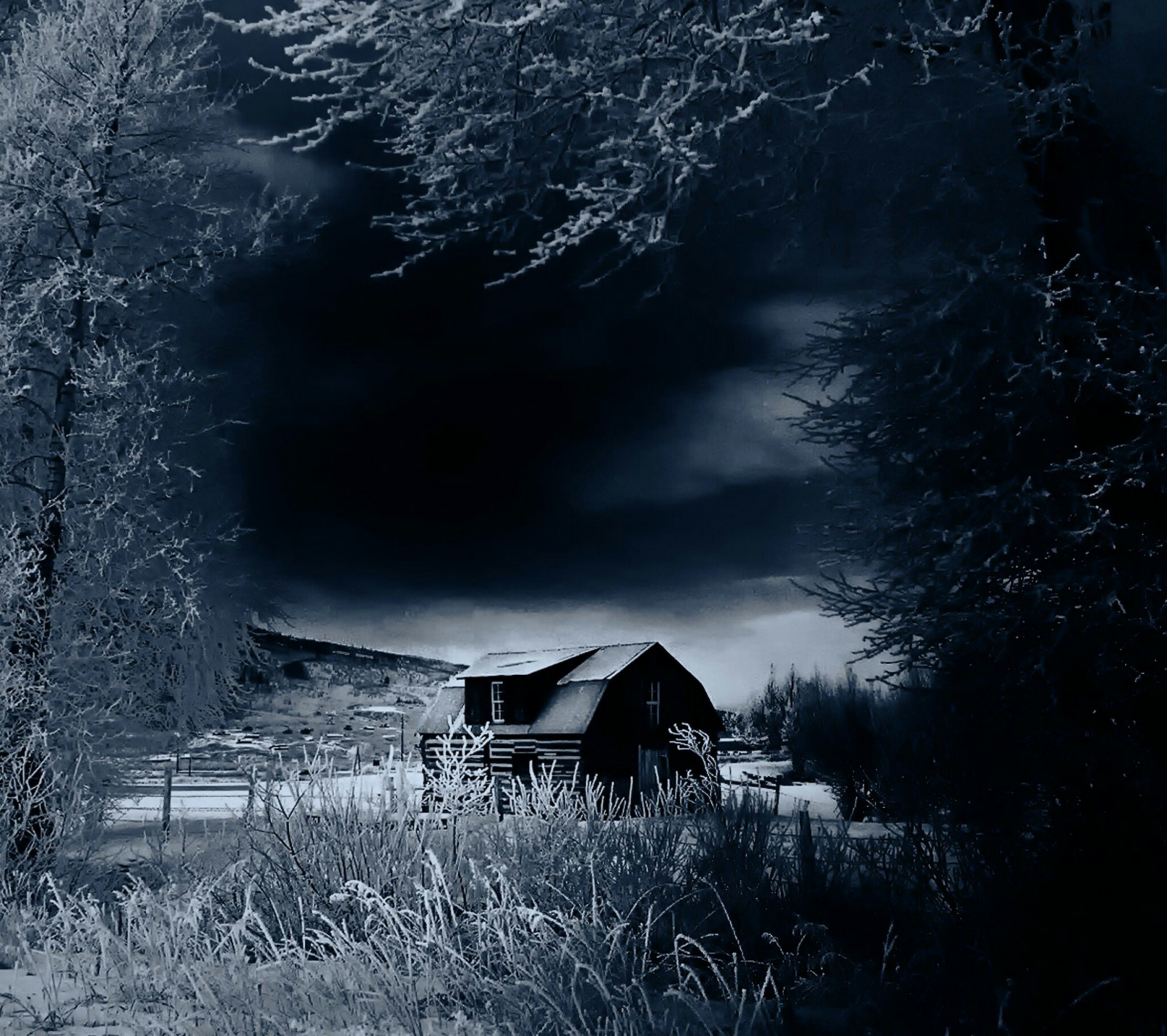 slunečnímu záření, černobílý, noc, Příroda, odraz, sníh, zima, ráno, mlha, mráz, měsíční svit, atmosféra, zmrazení, světlo, strom, počasí, sezóna, tma, atmosférický jev, počítač tapeta, Černý a bílý, monochromatické fotografování