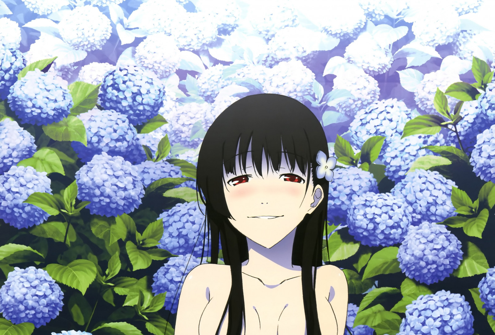 Sankarea, meisje, brunette, bloemen, glimlach