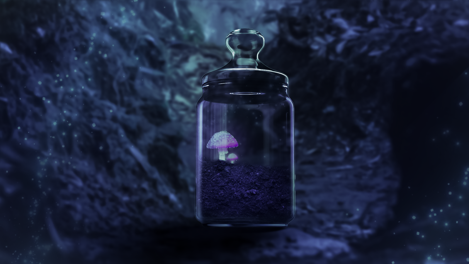 kapalina, Sklenice, Parfém, skleněná láhev, nachový, tekutina, řešení, organismus, plastová láhev, kosmetika, fialový, rostlina, napít se, Chemical compound, šperky, sklenka, petrolejově modrá, Kosher salt, purpurová, obdélník, Transparent material, tma, zmrazení, zima, Věda, krystal, módní doplněk, font, odraz, makro fotografie, zátiší fotografování, drahokam, noc, likér, koření