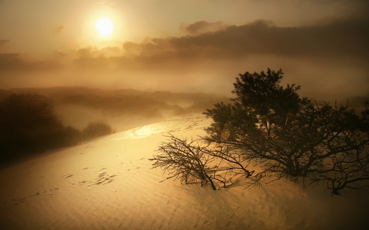 Wallpaper sunlight, landscape, sunset, nature, sand, reflection, sky, clouds, sunrise, evening