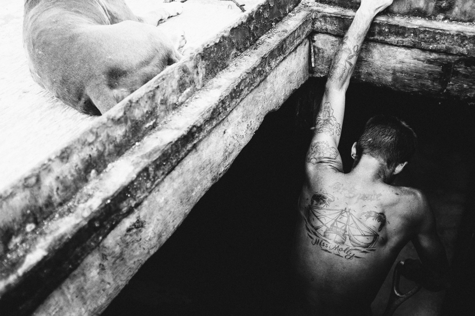 Černá, černobílý, stín, fotografování, tetování, svatý, práce, Florida, tělesné, ruka, lodě, fuji, x100s, slečna, minout, Černý a bílý, monochromatické fotografování, molly, shrimping, monichrome, augusitne