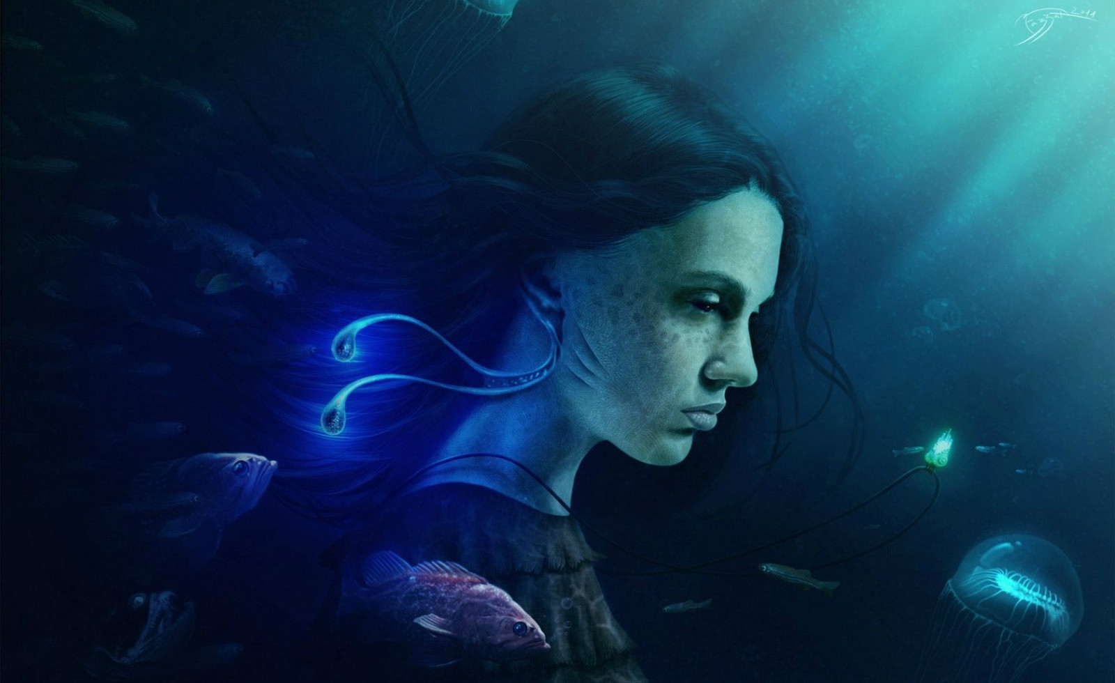 fantasy umění, umělecká díla, modrý, Pod vodou, biologie, tma, počítač tapeta, zvláštní efekty, mořská biologie