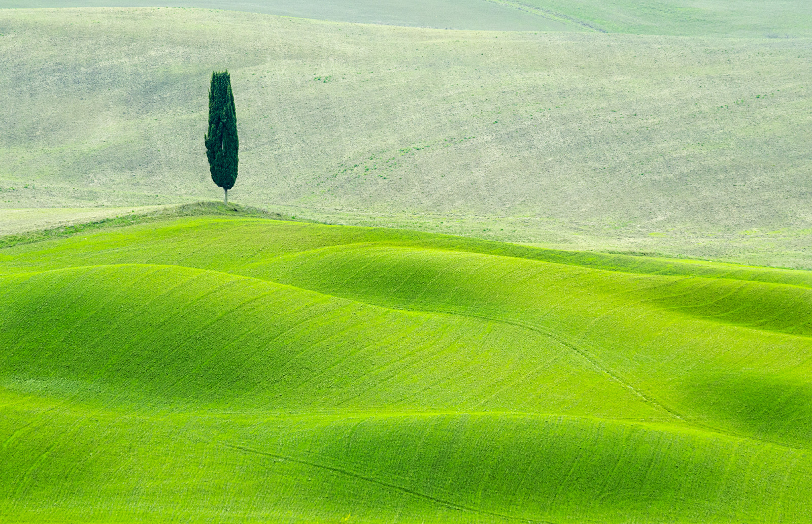 krajina, Itálie, kopec, tráva, pole, Země, zelená, Toskánsko, struktura, plošina, step, cypřiš, kurz golfu, Stráž, Kréta, cestovat, lučina, D7000, venkov, pastvina, pole, zemědělství, louka, prostý, Cipresso, trávník, prérie, claudio, cantonetti, Pienza, Solitario, senesi, nigkon, venkov, přírodní prostředí, geografický rys, sportovní dějiště, tráva rodina, neloupané pole