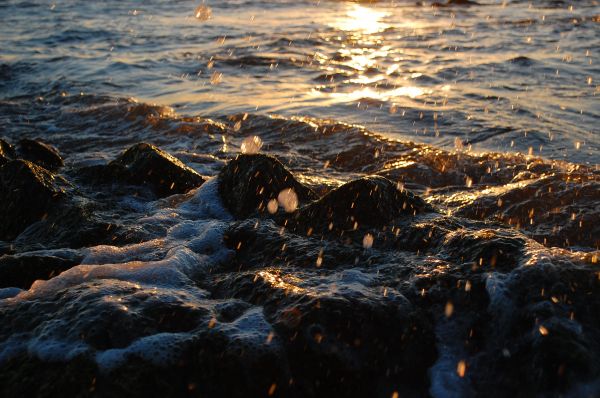water,Natural landscape,wood,sunlight,coastal and oceanic landforms,afterglow