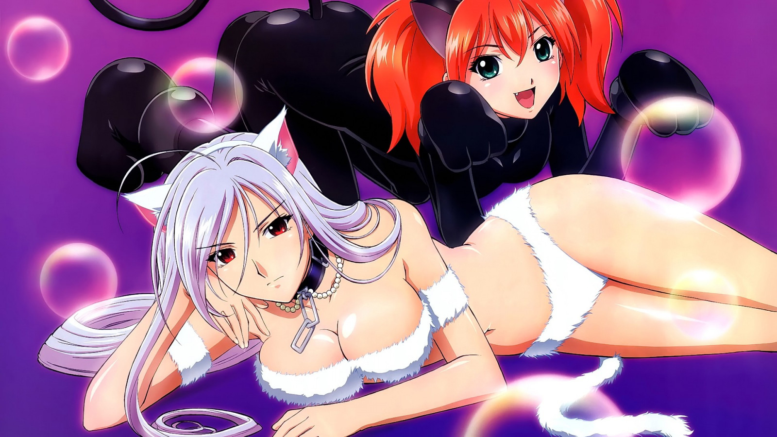 anime, anime girls, orecchie degli animali, cartone animato, capelli neri, Rosario + Vampire, Shuzen Kokoa, Akashiya Moka, mangaka