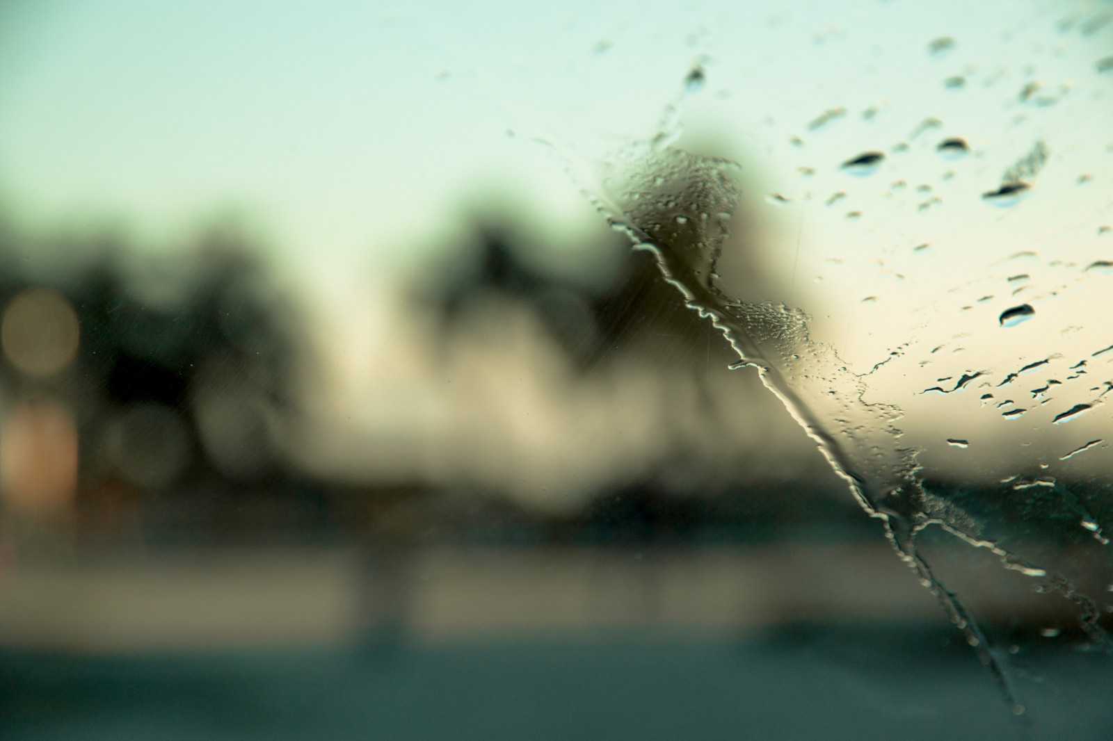 slunečnímu záření, voda, Příroda, odraz, déšť, fotografování, zelená, modrý, ráno, slunce, Kánon, bokeh, Miami, modrozelený, zmrazení, světlo, list, flickr, květ, počasí, pokles, vlna, kapky, rozmazat, čelní sklo, dlaněmi, atmosférický jev, Atmosféra Země, zblízka, makro fotografie, canont1i, vlhkost, každý den