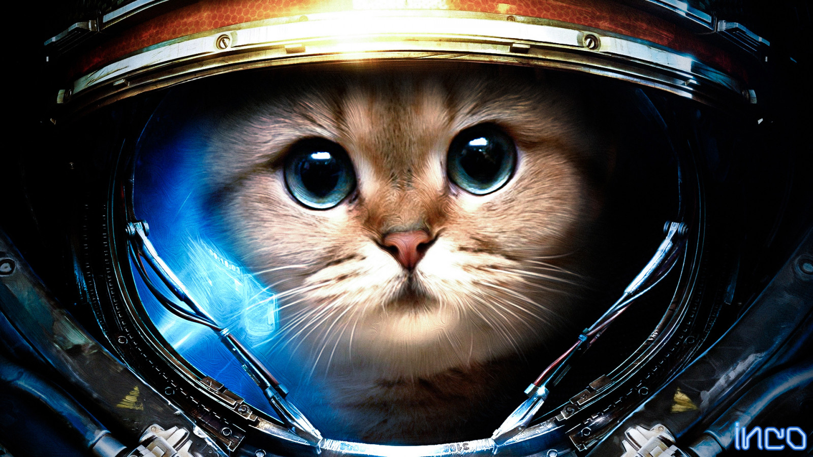 1920x1080 px, animals, artistic, astronaut, broken, cats, costume, crack, cute, eyes, face, felines, fi, fiction, funny, fur, humor, outer, sci, science, shatter, space, StarCraft, suit, whiskers