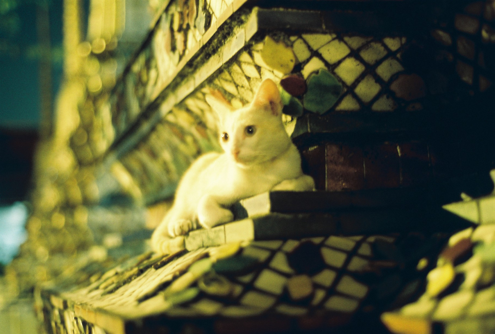 Thailand, 50mm, Nikon, Bangkok, NIKKOR, watpho, watpo, templeoftherecliningbuddha, kowpod