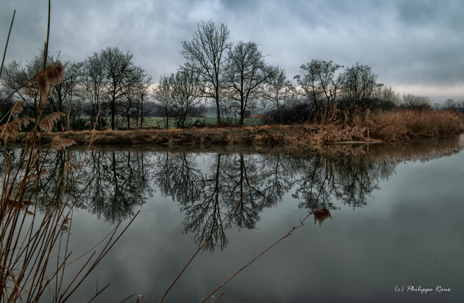 Нагатинская пойма прогулочная. Природа сельской местности пруды заводи. Пойма 6. Остров в нагатинском затоне. Река пойма красноярский край.