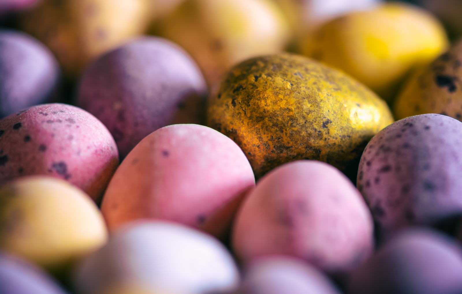 branco, Comida, ovos, roxa, Macro, fruta, Doces, chocolate, Rosa, Macromondays, ovo, doce, Doces, batata, Macrofotografia, Doçura, produzir, fechar-se, ovos de pascoa, Ket, Goldenegg, comida local, Vegetais de raiz