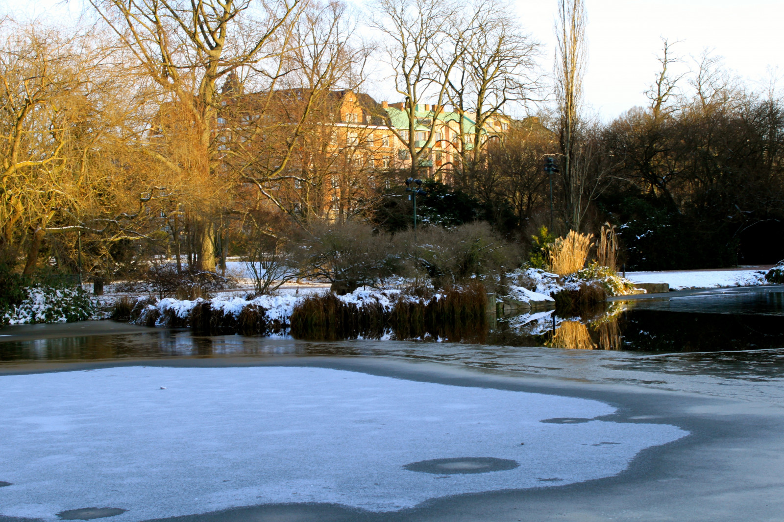 stromy, krajina, jezero, voda, Příroda, odraz, nebe, sníh, zima, led, řeka, rybník, Island, proud, světlo, strom, podzim, sezóna, odrazy, budovy, větve, Malmo, Slottsparken, wnter, vodní, dřevina