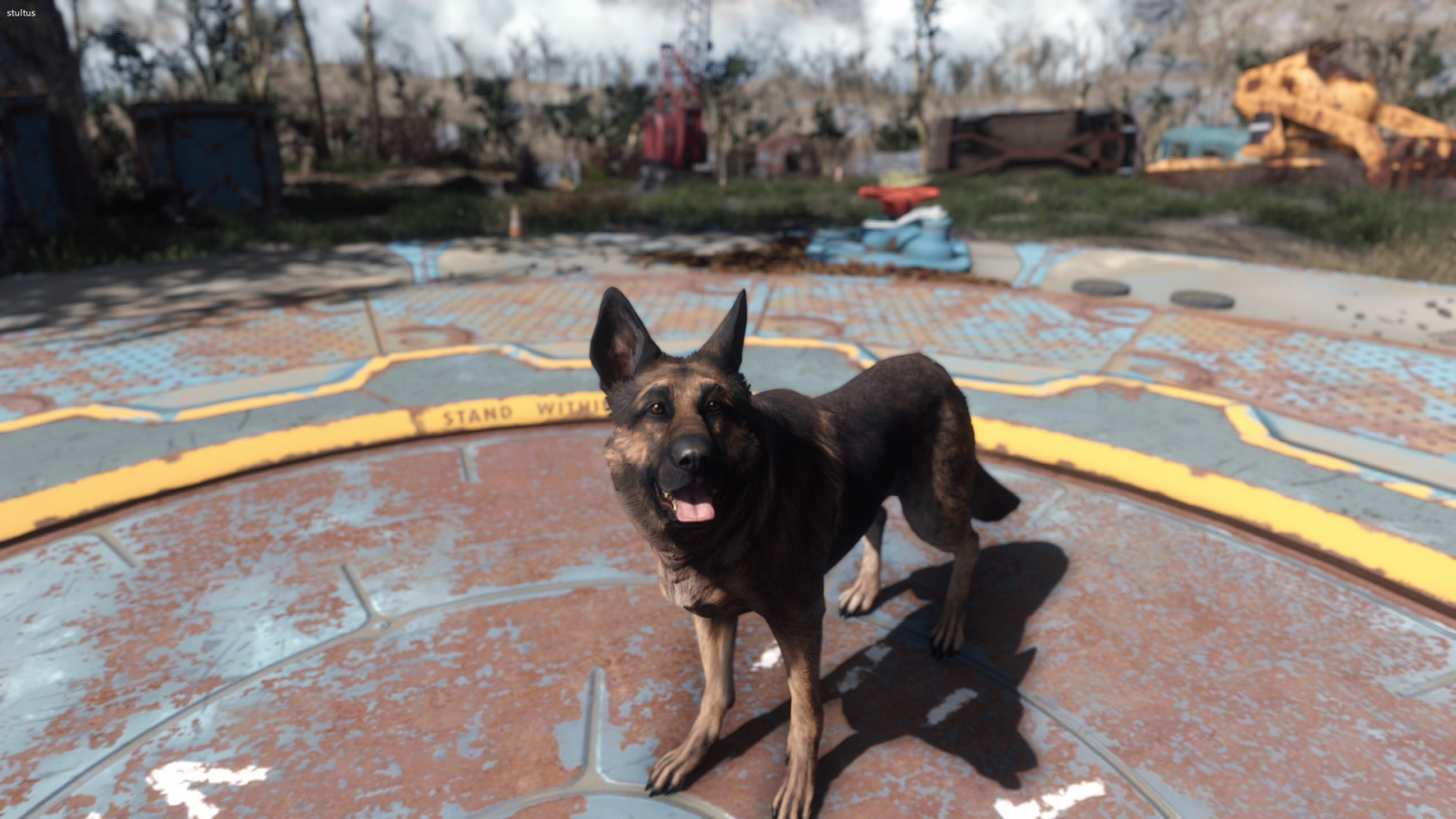 Wallpaper Fallout 4, dog, Dogmeat, video games 1920x1080 UmutESG