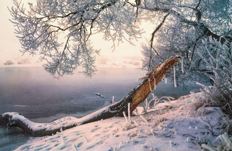 cold, landscape, 2000x1306 px, frost, mist, morning cold, landscape, 2000x1306 px, frost, mist, morning
