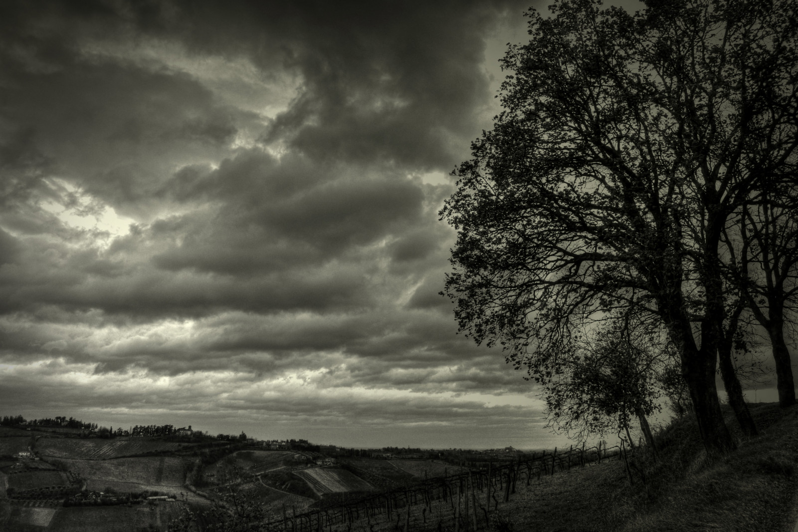slunečnímu záření, bílý, Černá, černobílý, Příroda, nebe, silueta, večer, ráno, mlha, horizont, atmosféra, soumrak, 2013, mrak, strom, počasí, svítání, tma, nikond3100, paesaggio, alberi, nuvole, atmosférický jev, Černý a bílý, monochromatické fotografování, dřevina, meteorologický jev, Romagna