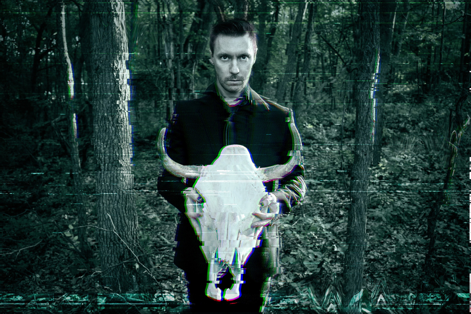 forêt, Glitch art, crâne, Blue Stahli, obscurité, capture d'écran, personnage fictif