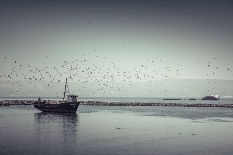 moře, nebe, voda, uklidnit, horizont, oceán