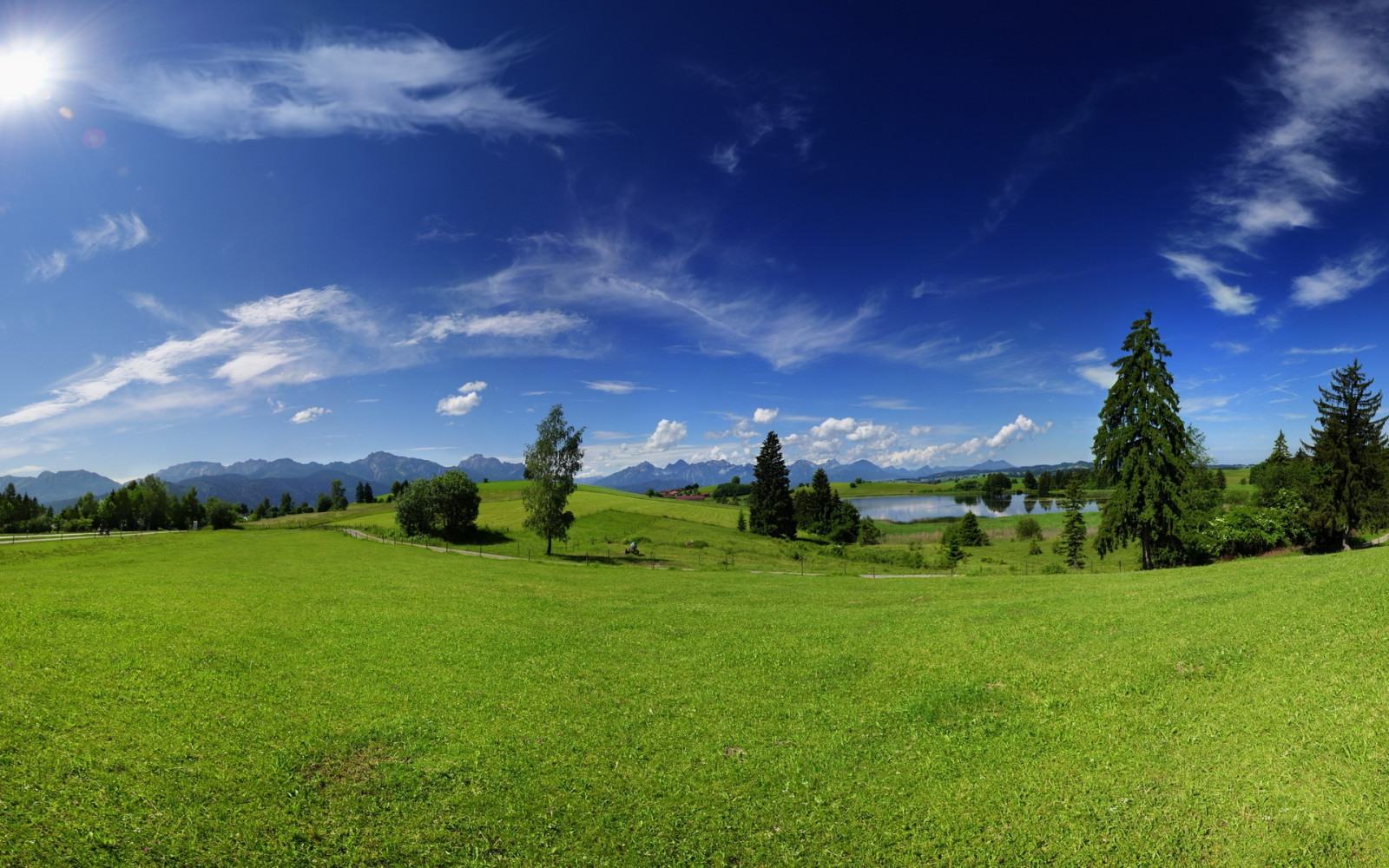 plaine, des arbres, Prairie, été, chaleur, vert, ciel, Solairement