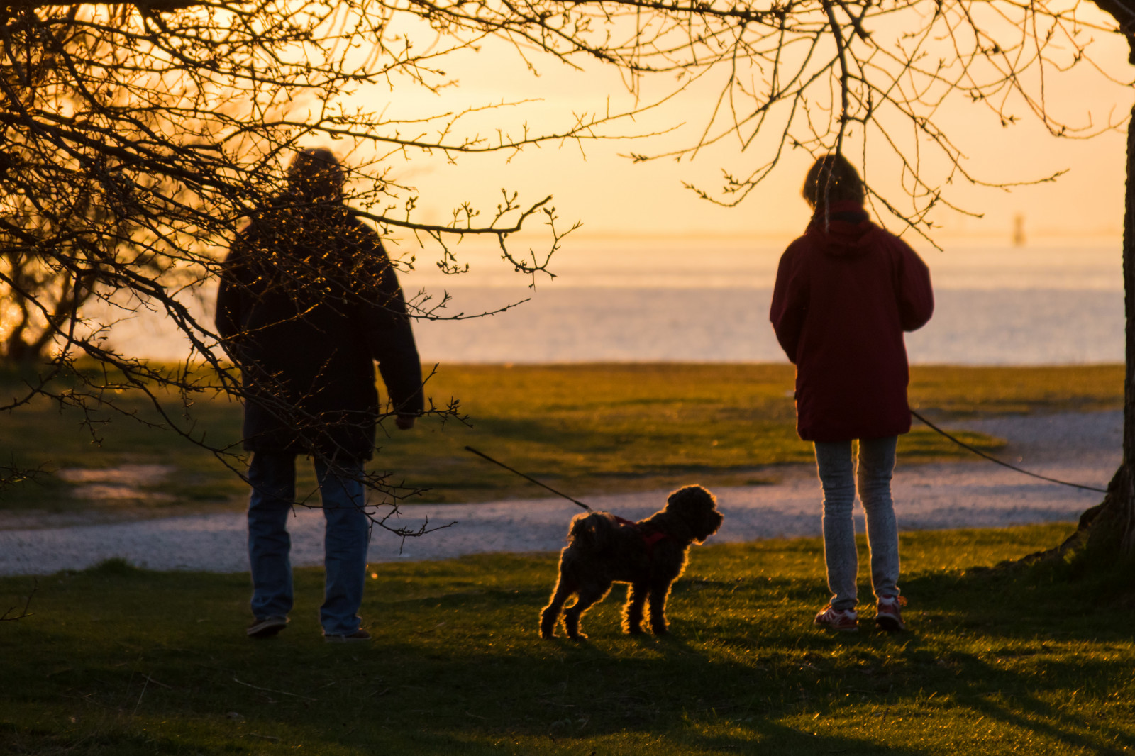 Sonnenlicht, Menschen, Sonnenuntergang, Meer, Wasser, Silhouette, Abend, Morgen, Hund, Tier, Herbst, Jahreszeit, Solnedg ng, Vatten, Hav, Hund, M nniska, Malmo, Djur, Sibbarp, Exif Modell canoneos760d, Geocountry, Kamera macht canon, Geocity, Kameramodell canoneos760d, Geostate, Geolocation, Exif linse efs18200mmf3556is, Exiföffnung 56, Exif focallength 200mm, Exif machen canon, Exif isospeed 400