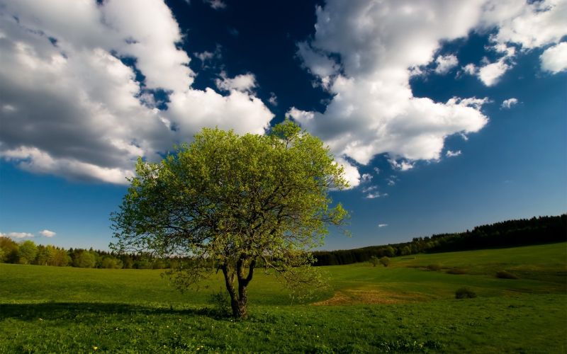 sollys, landskab, bakke, natur, græs, himmel sollys, landskab, bakke, natur, græs, himmel