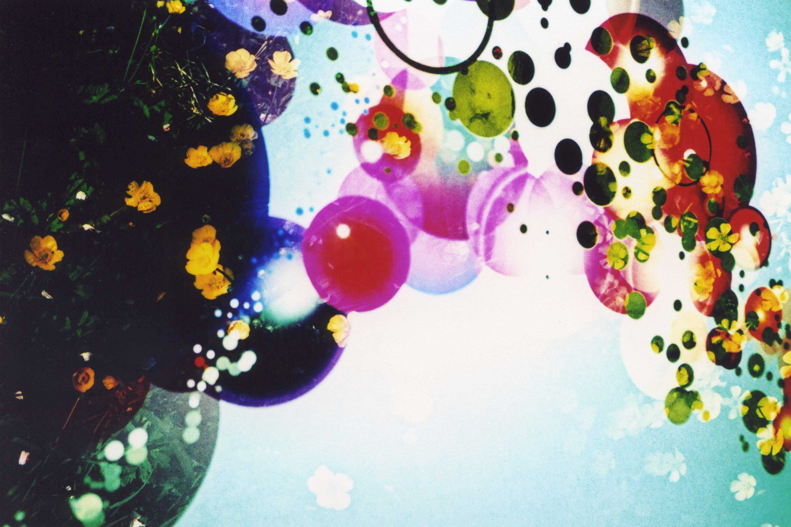 ilustrace, květiny, prostor, nebe, žlutý, Anglie, grafický design, Bubliny, kruh, Spojené království, Austrálie, fotoaparát značky kodak, Victoria, Melbourne, Bristol, Lomography, 100, UMĚNÍ, flóra, dvojnásobek, film, analog, okvětní lístek, xPRO, lomo, multipleexposure, Spojené království, grafika, počítač tapeta, crossprocessed, Lka, slidefilm, filmswap, E100vs, Xabl