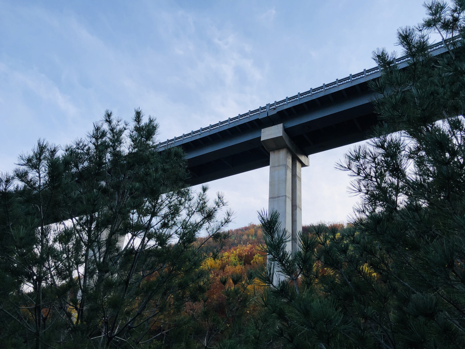 ฤดูกาล, ท้องฟ้า, สะพาน, ต้นไม้, การถ่ายภาพ