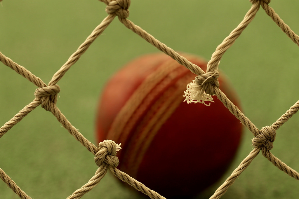 ปม, deuddeg, ในร่ม, จิ้งหรีด, ลูกบอล, dof, ไนลอน, fencedfriday, hff, Angharadw, รั้ว, Cardiff, caerdydd, เวลส์, คฤหาสน์, สีเขียว, หนัง, สีแดง, ครีม, แมโคร