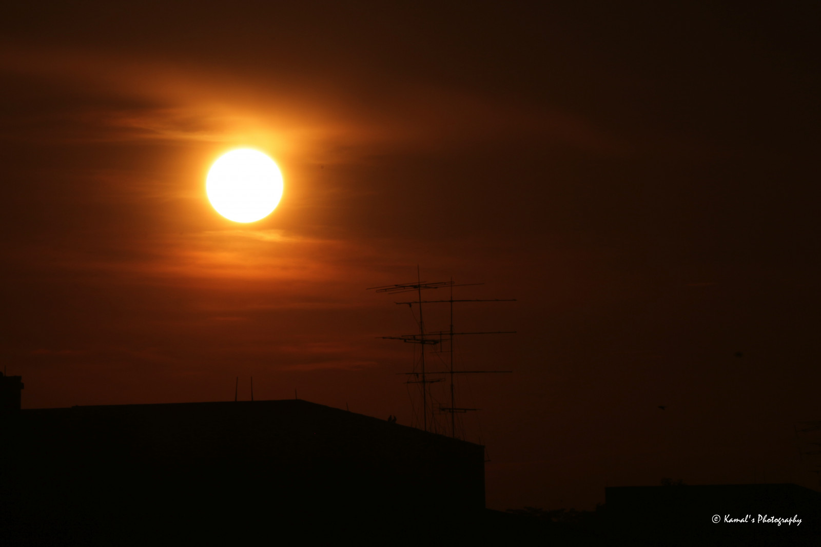 nightphotography, západ slunce, slunce, Měsíc, květ, makro, voda, ptactvo, růže, zahrada, Marina, svítání, motýl, řeka, fotografování, zoologická zahrada, záliv, flyer, panda, jeřáb, želva, tygr, parky, Papoušek, pády, půlměsíc, Safari, velbloud, Madina, přírodní rezervace, červená panda, druh, chinesegardens, chinesegarden, národní parky, hadi, Orangebutterfly, Mecca, bílý tygr, Turtlepond, Umrah, Měsíční fáze, islámský, Kaba, iPhone, Sungeibuloh, Singaporezoo, Kabah, animalphotography, Butterflygarden, Rarespecies, Žlutý pták, Černý Motýl, singaporenight, Riversafari, Barevných ptáků, gardensbythebay, Singaporegardeny, Singapore Flyer, marinabaysands, Singaporeturismus, Singaporeday, Islamicpictures, Singaporenaturereserve, Singaporemarinabaysands, Singaporeriversafari, Květináče