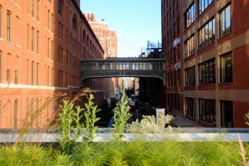 auringonvalo,arkkitehtuuri,Manhattan,omaisuus,keskustassa,rakennukset
