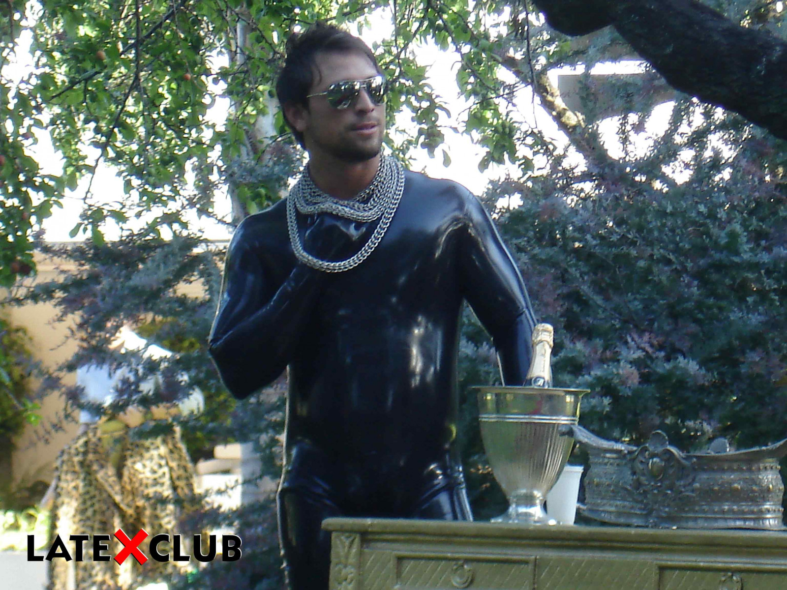 strom, rostlina, rekreace, socha