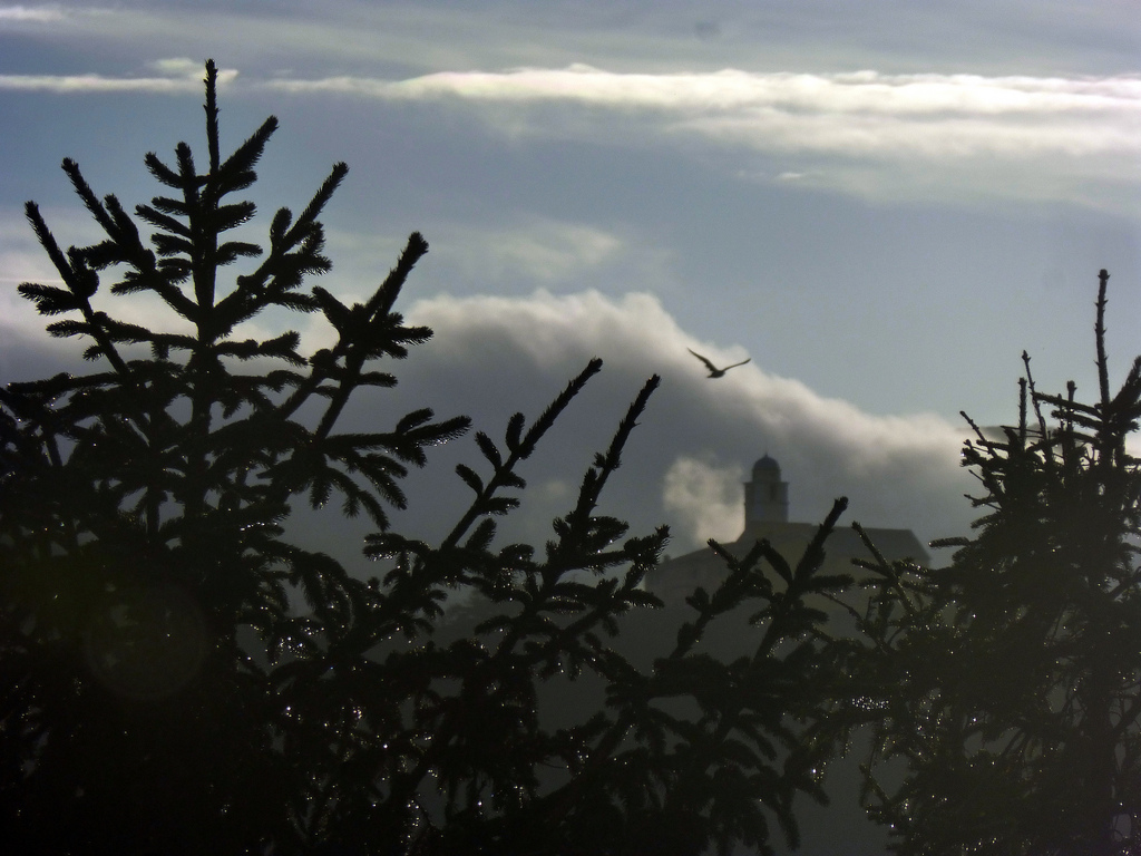 slunečnímu záření, Itálie, Příroda, odraz, nebe, sníh, déšť, mraky, větev, večer, ráno, mlha, vítr, atmosféra, kostel, soumrak, madona, Ligurie, mrak, strom, mlha, počasí, svítání, Italia, monte, del, tma, chiesa, Savona, nuvole, Pioggia, atmosférický jev, Atmosféra Země, madonnadelmonte