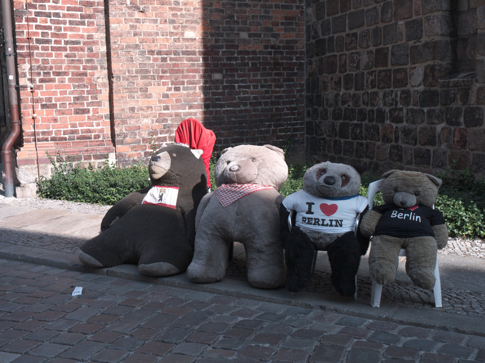 savec, obratlovců, ulice, silnice, čenich