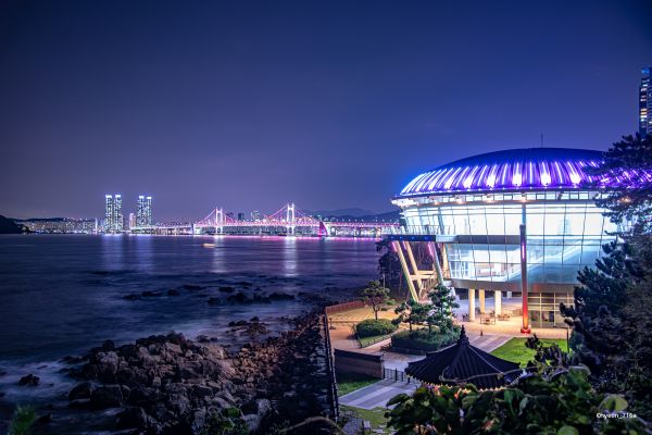 Korean,Busan,night,building,photography,architecture