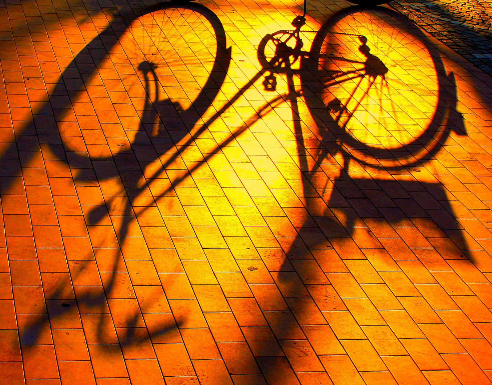 slunečnímu záření, okno, západ slunce, odraz, stín, stěna, dřevo, symetrie, žlutý, textura, kruh, 2011, UMĚNÍ, Tramonto, světlo, barva, podzim, list, prozkoumat, tvar, čára, bulvár, tma, abigfave, platinumphoto, číslo, zblízka, BICI, bicicletta, Albenga, viale