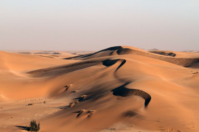 Afrika,tájkép,homok,dűne,Selva,Matteo