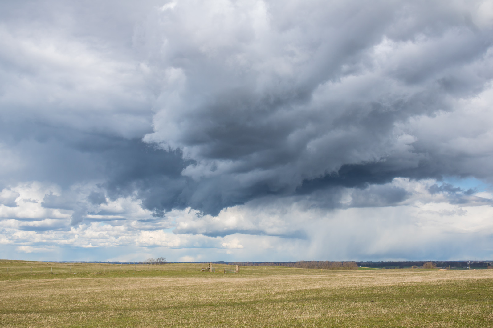 paesaggio, erba, cielo, campo, tempesta, vento, orizzonte, steppa, nube, tempo metereologico, prateria, himmel, moln, k seberga, alestenar, alesstones, cielo scuro, prato, pianura, prateria, area rurale, fenomeno meteorologico, cumulo