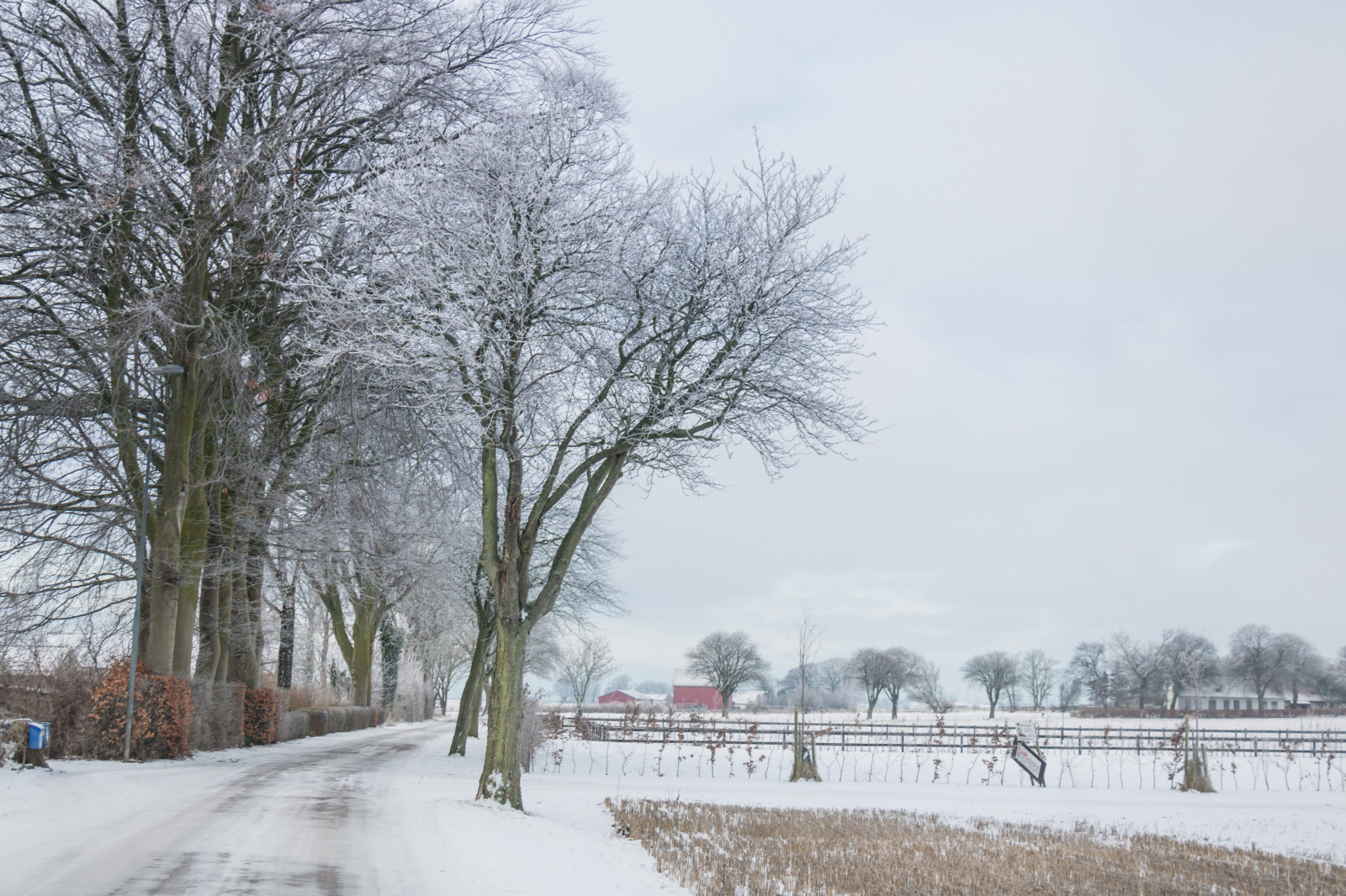 krajina, nebe, sníh, zima, silnice, led, ráno, mráz, Jinovatka, zmrazení, strom, scenérie, počasí, sezóna, nebe, Vinter, tr d, landskap, VAG, rimfrost, tři, vánice, atmosférický jev, dřevina, zimní bouře