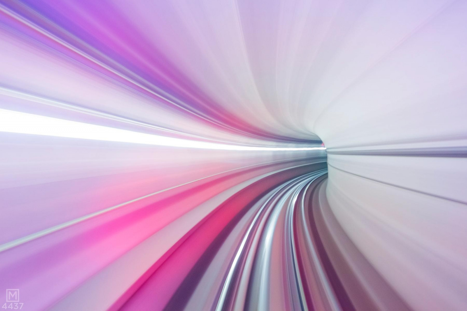 slunečnímu záření, abstraktní, nachový, kruh, růžový, purpurová, světlo, barva, květ, duha, tvar, čára, okvětní lístek, křídlo, počítač tapeta, makro fotografie